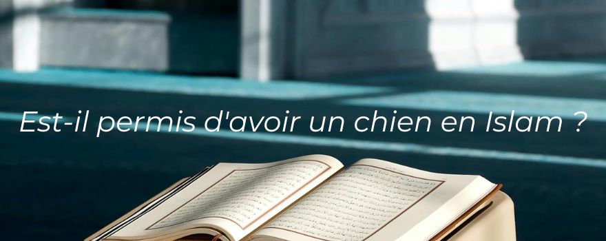 Image d'un coran dans une mosquée