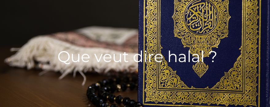 Que veut dire halal ?