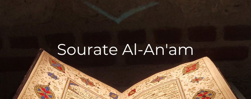 Sourate Al-An'am : le chemin de la certitude