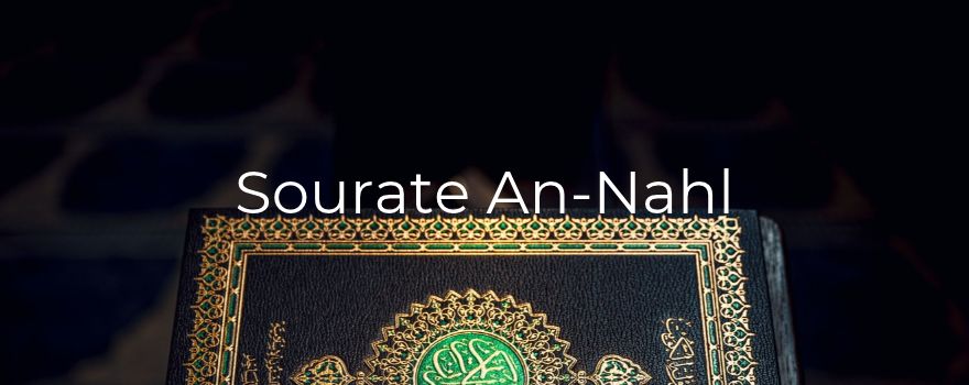 Sourate An-Nahl : lire les signes d'une création généreuse
